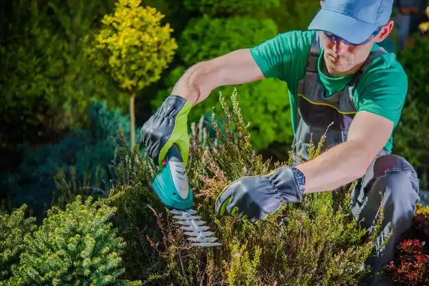 landscaping services Mandeville